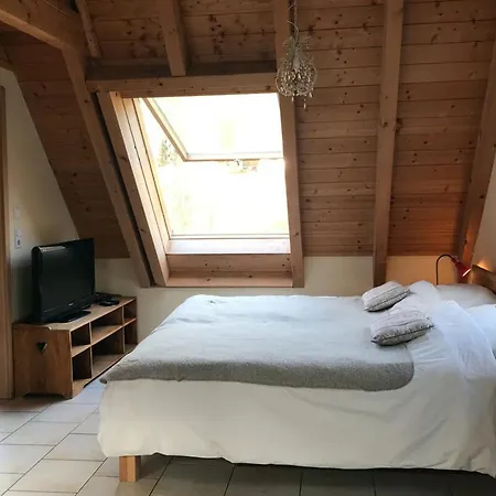Untere Muehle Hotel *
